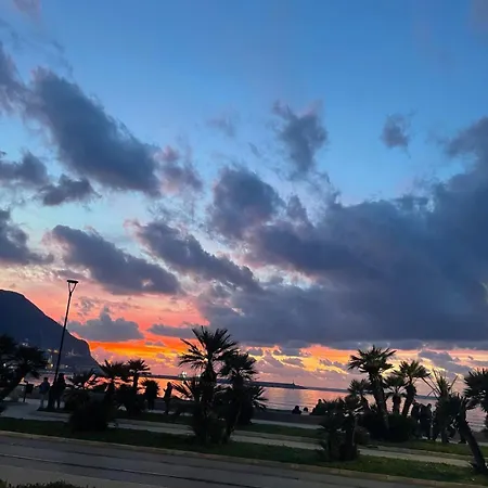 Central Apartment 아파트 *