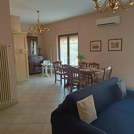 Central Apartment Apartment
